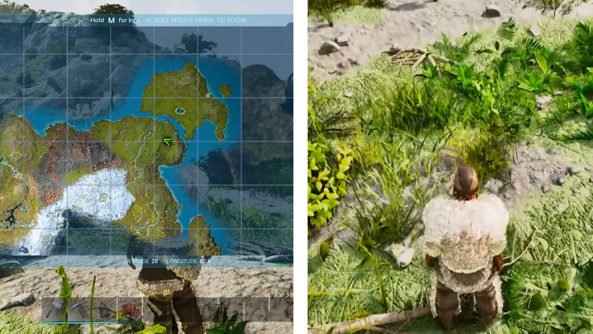 Rockarrot farming location