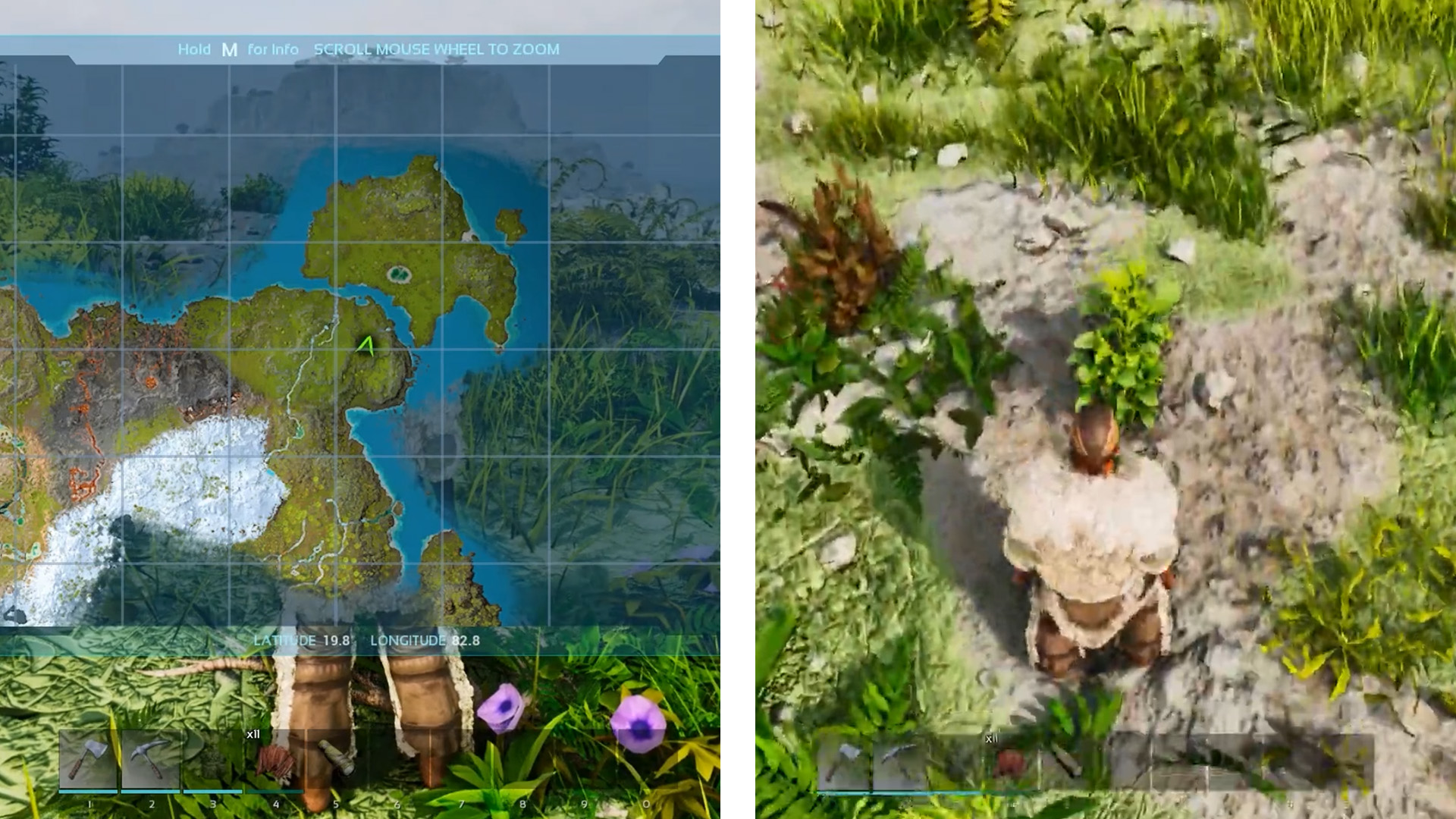 Savoroot farming location