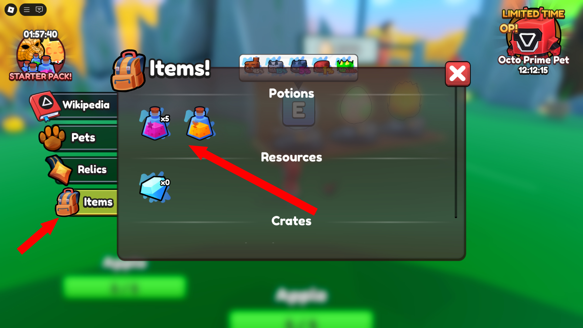 How To Use Potions (Image via Roblox Corporation)