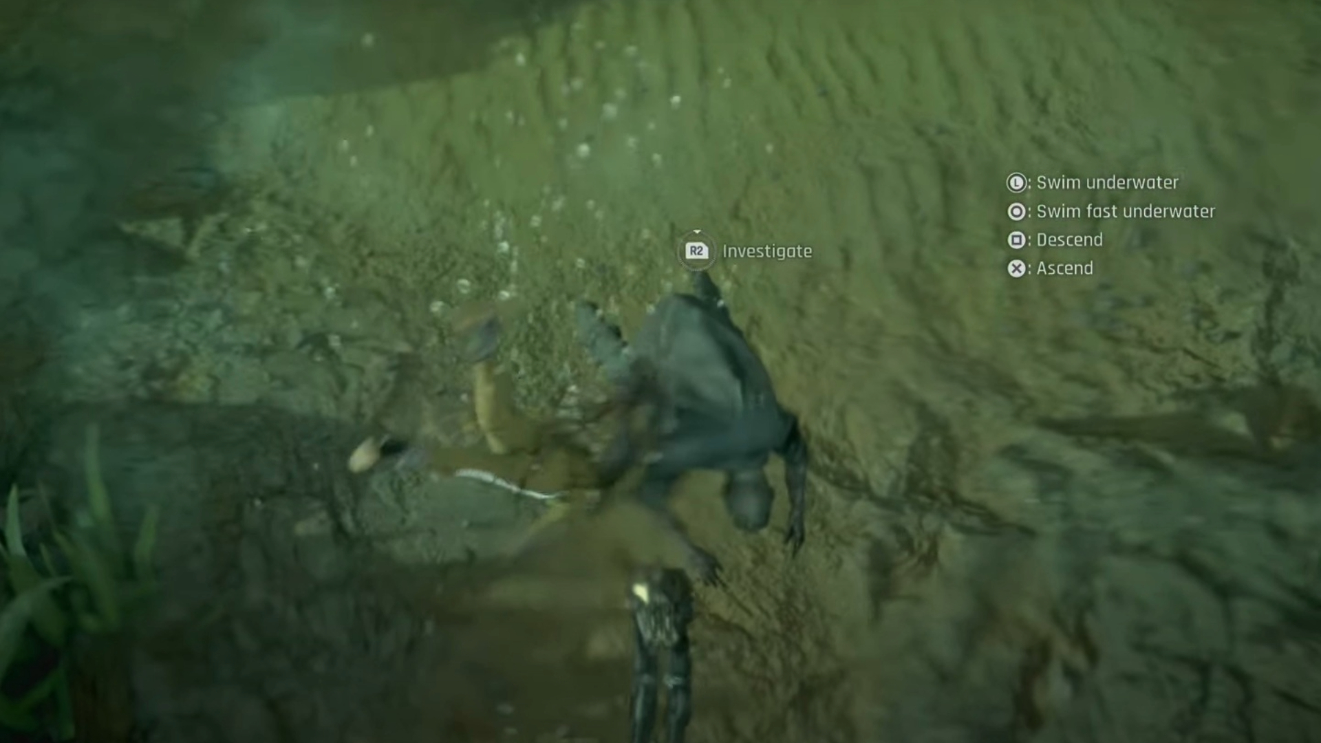 Investigate the lover's corpse underwater