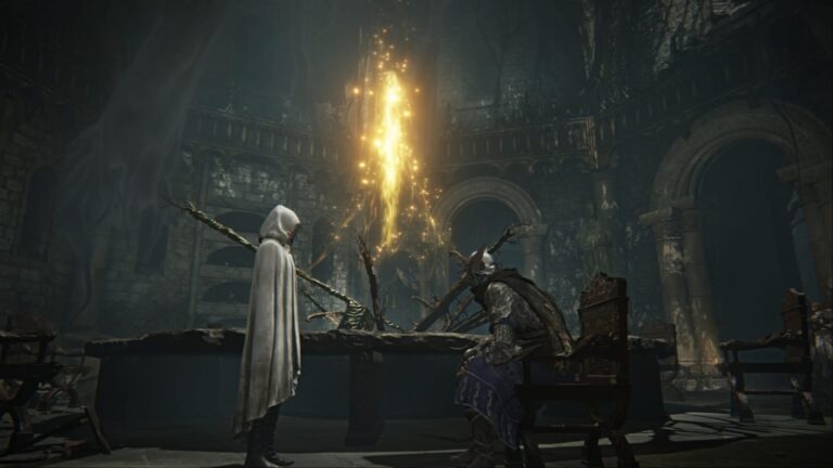 You cannot communicate with your team without a voice chat (Image via FromSoftware | Bandai Namco Entertainment)