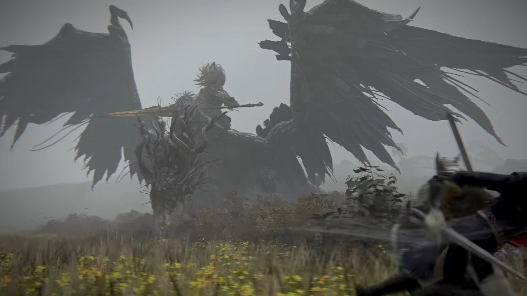 Elden Ring Nightreign: How To Defeat the Nameless King