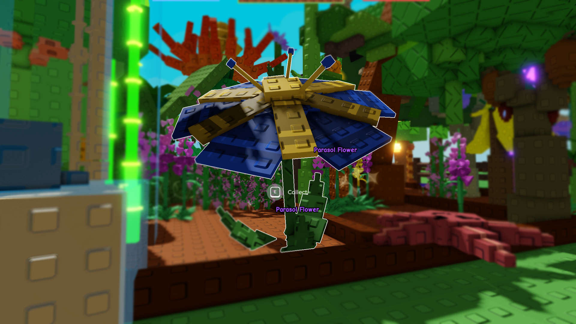 Parasol Flower Guide (Image via Roblox Corporation)