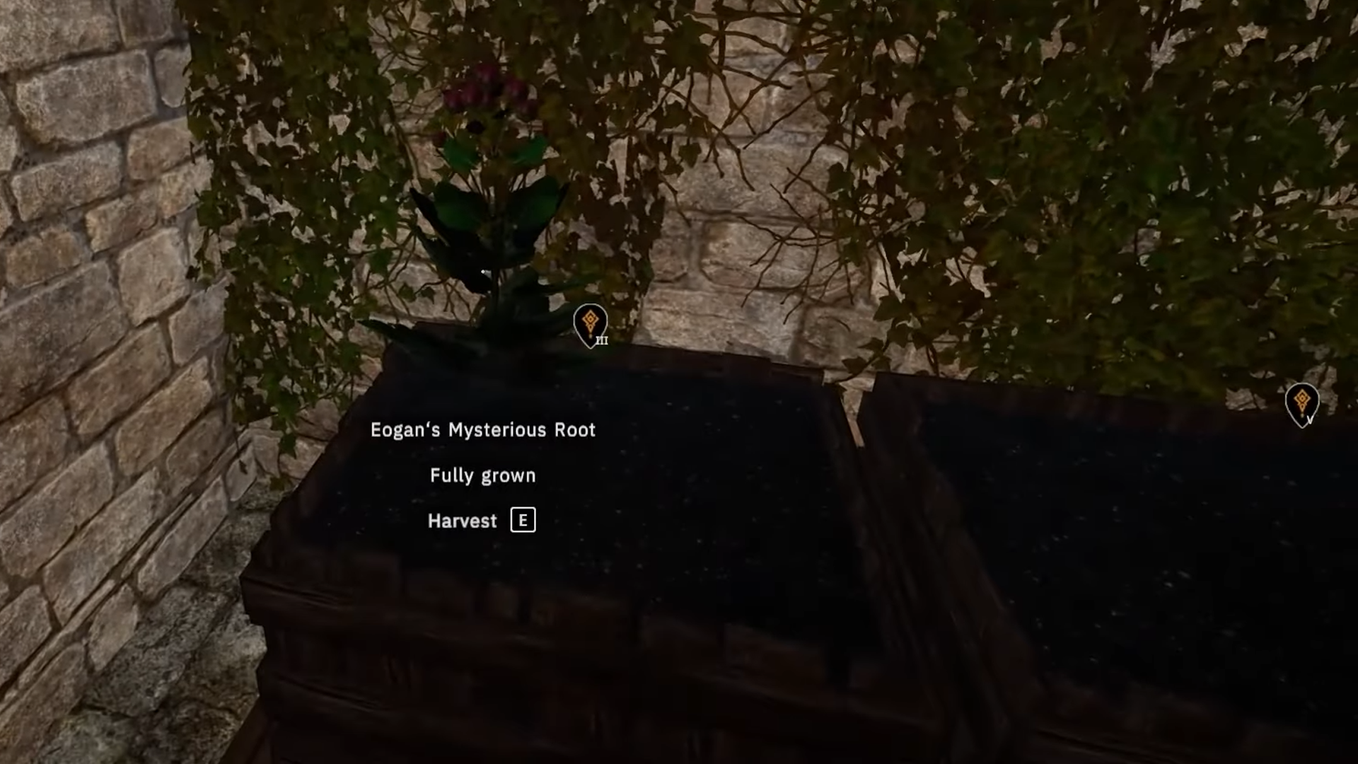 Plant and harvest his seeds