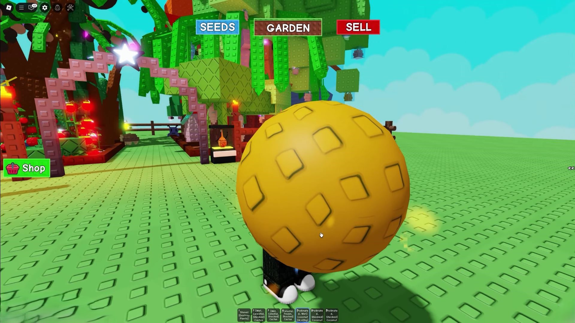 Pollinated Coconut (Image via Roblox)