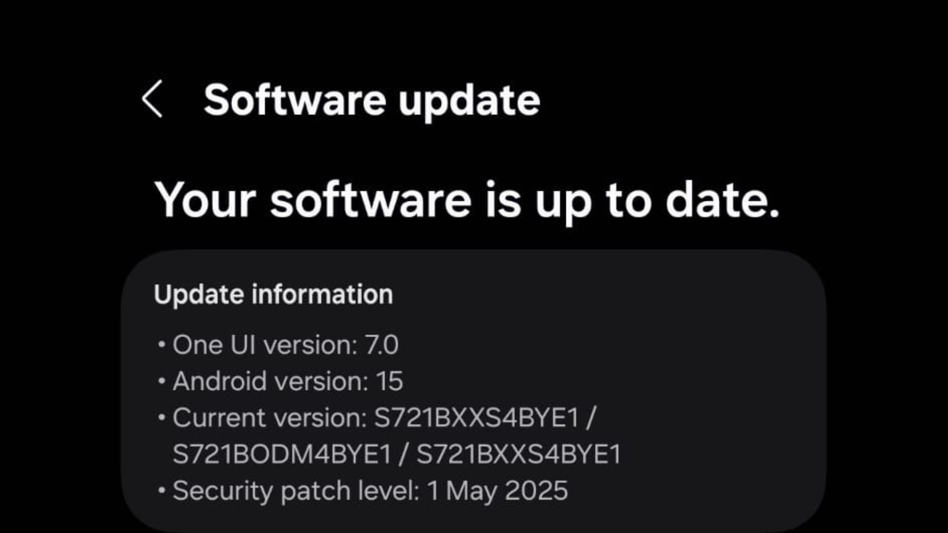 The Galaxy S24 FE is yet to get the Beta Update