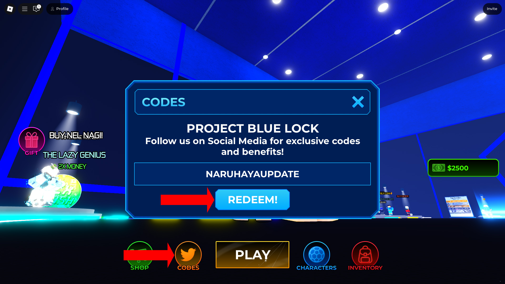 Redeem your codes here (Image via Roblox Corporation)