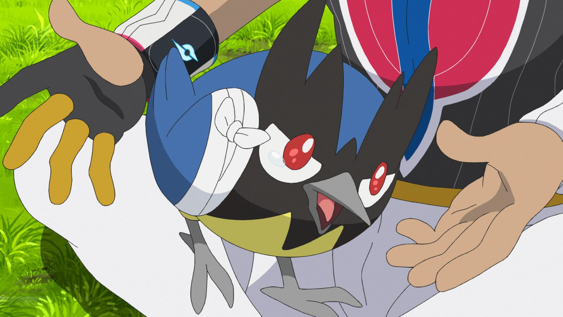 Rookidee in the Pokemon anime (Image via The Pokemon Company)