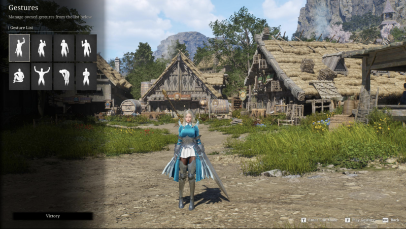 Gesture System in Vindictus: Defying Fate