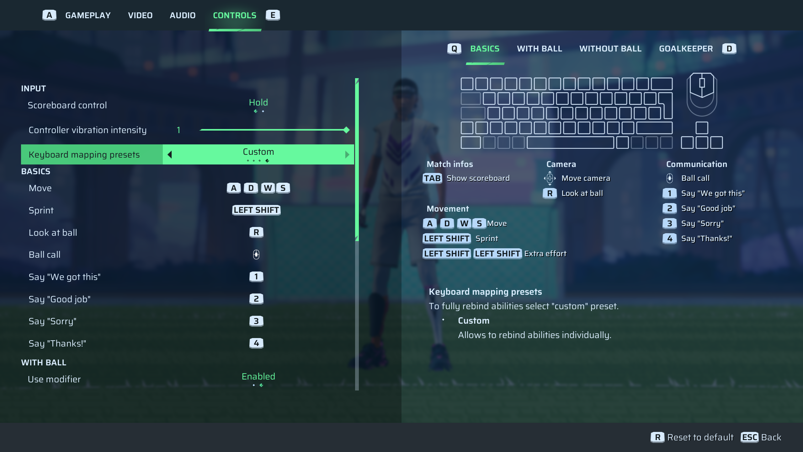 Custom Preset