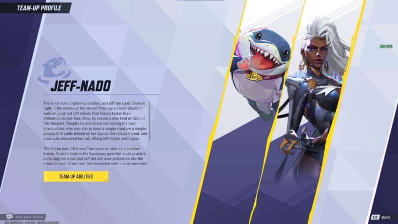 The perfect team-up (Source: NetEase Games)