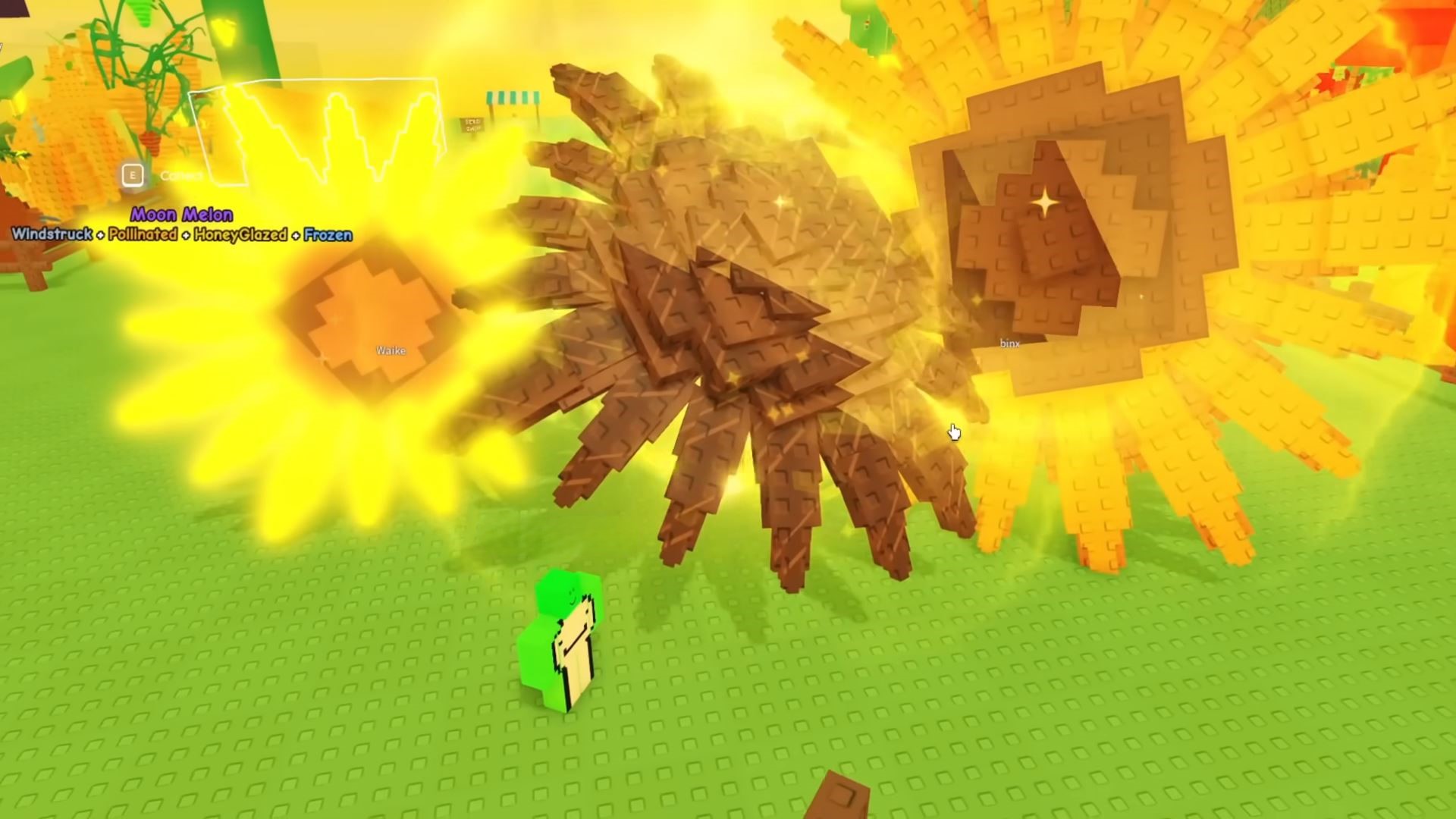 Sunflower (Image via Roblox)