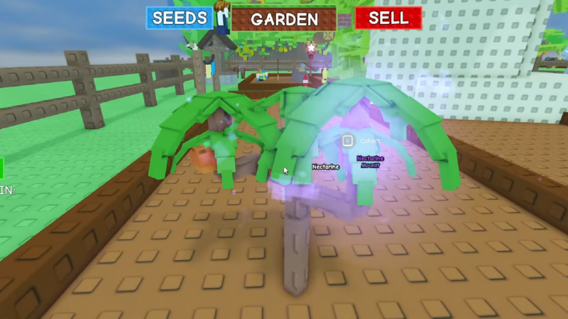 NEctarine Grow a Garden