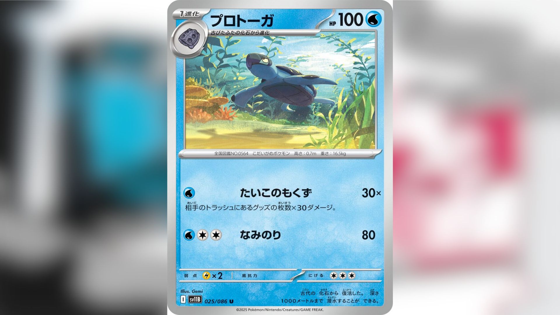 Tirtouga from Pokemon TCG: Black Bolt/White Flare (Image via The Pokemon Company)