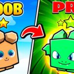 Pet Star Ultimate Codes (Source: Roblox)