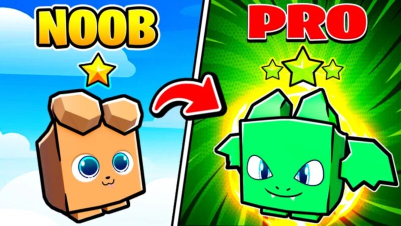 Pet Star Ultimate Codes (Source: Roblox)