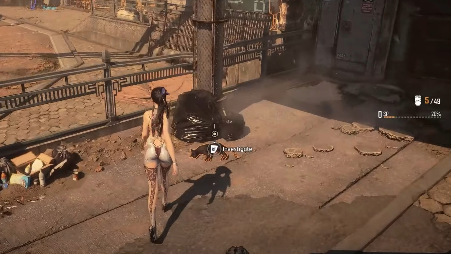 You find the black cat deceased