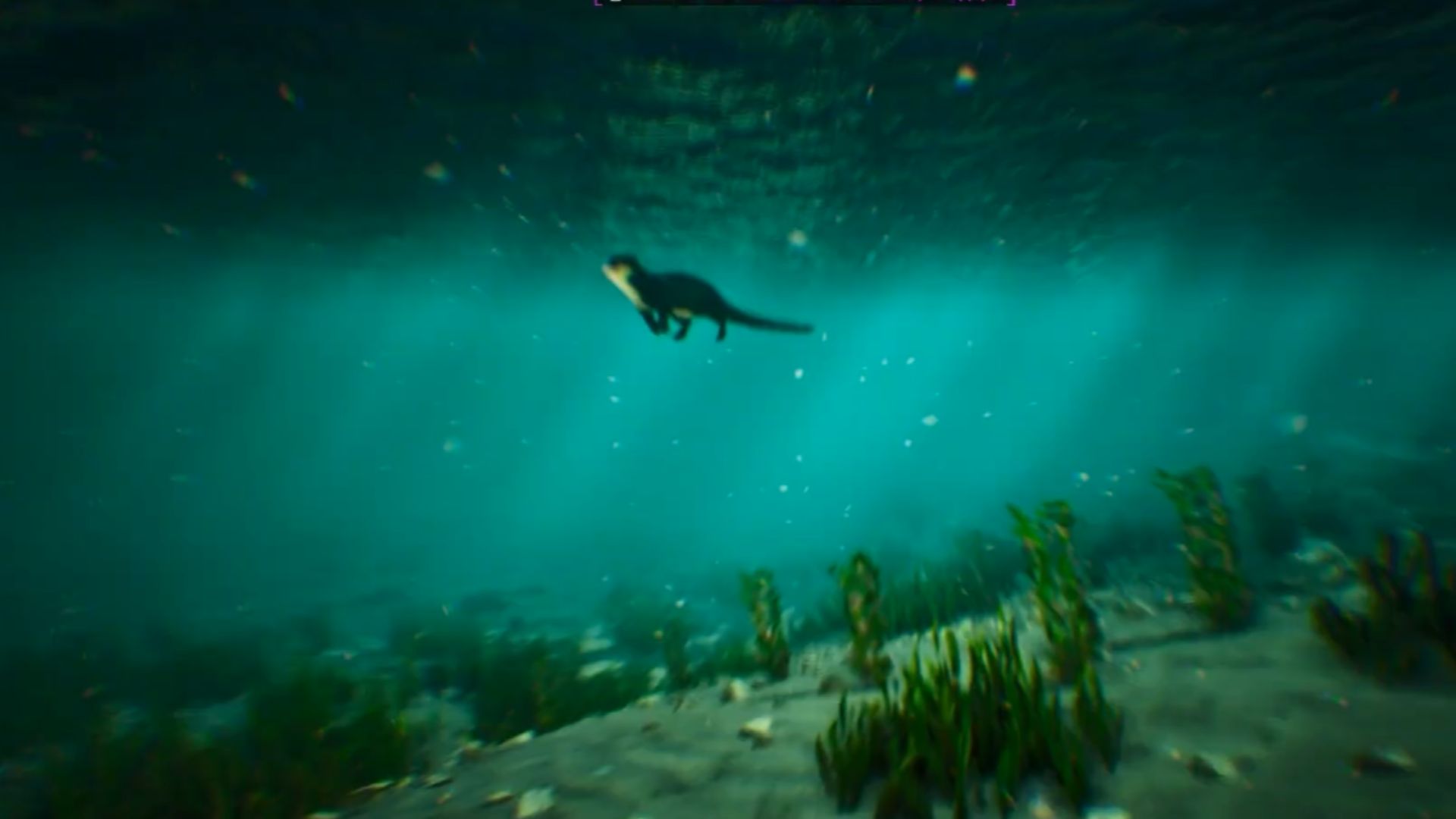 The Otters stay in the water (Source: Studio Wildcard, @HeRo2u2/YouTube)