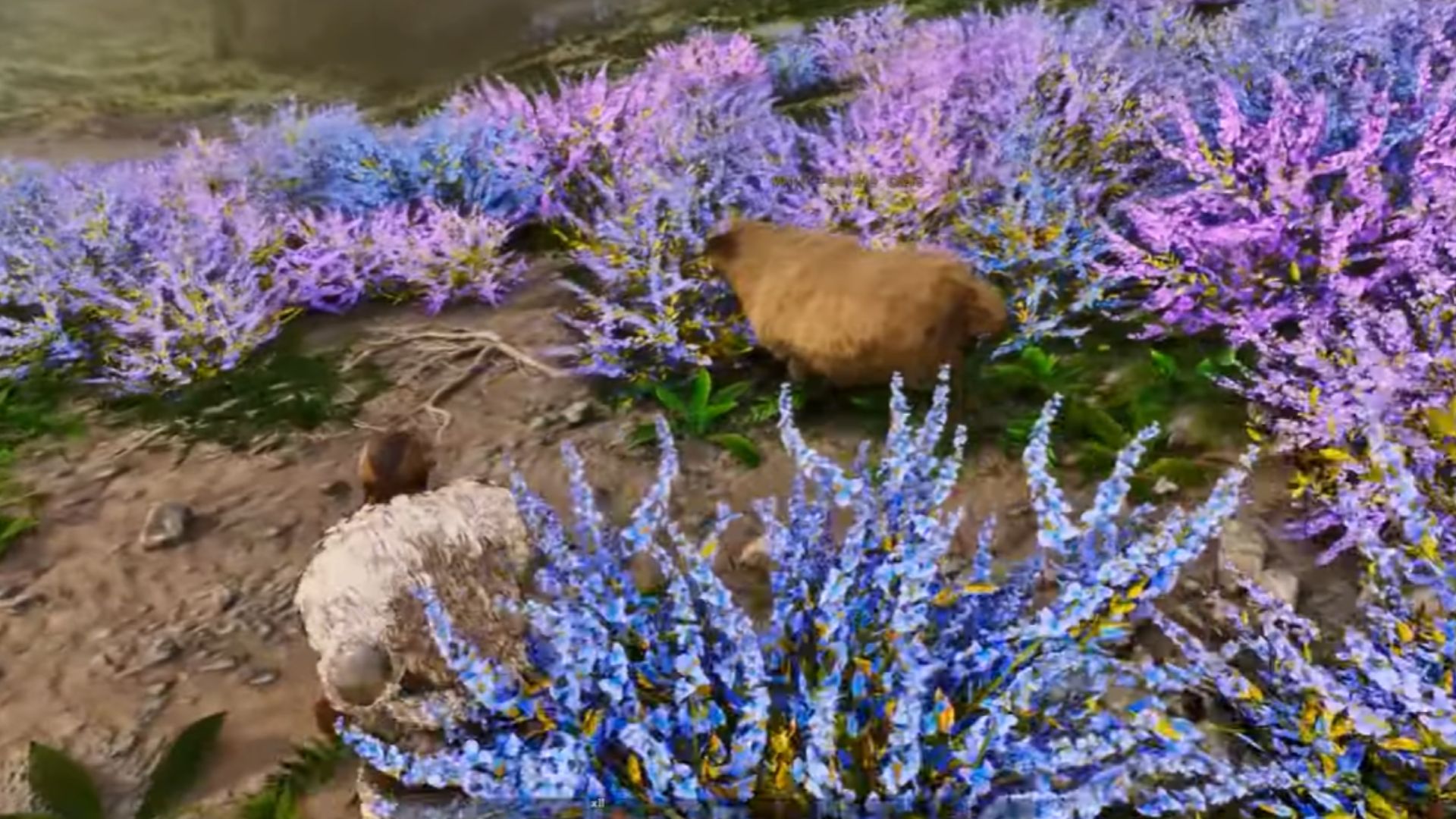 Where To Find Ovis in Ark Ragnarok Ascended?