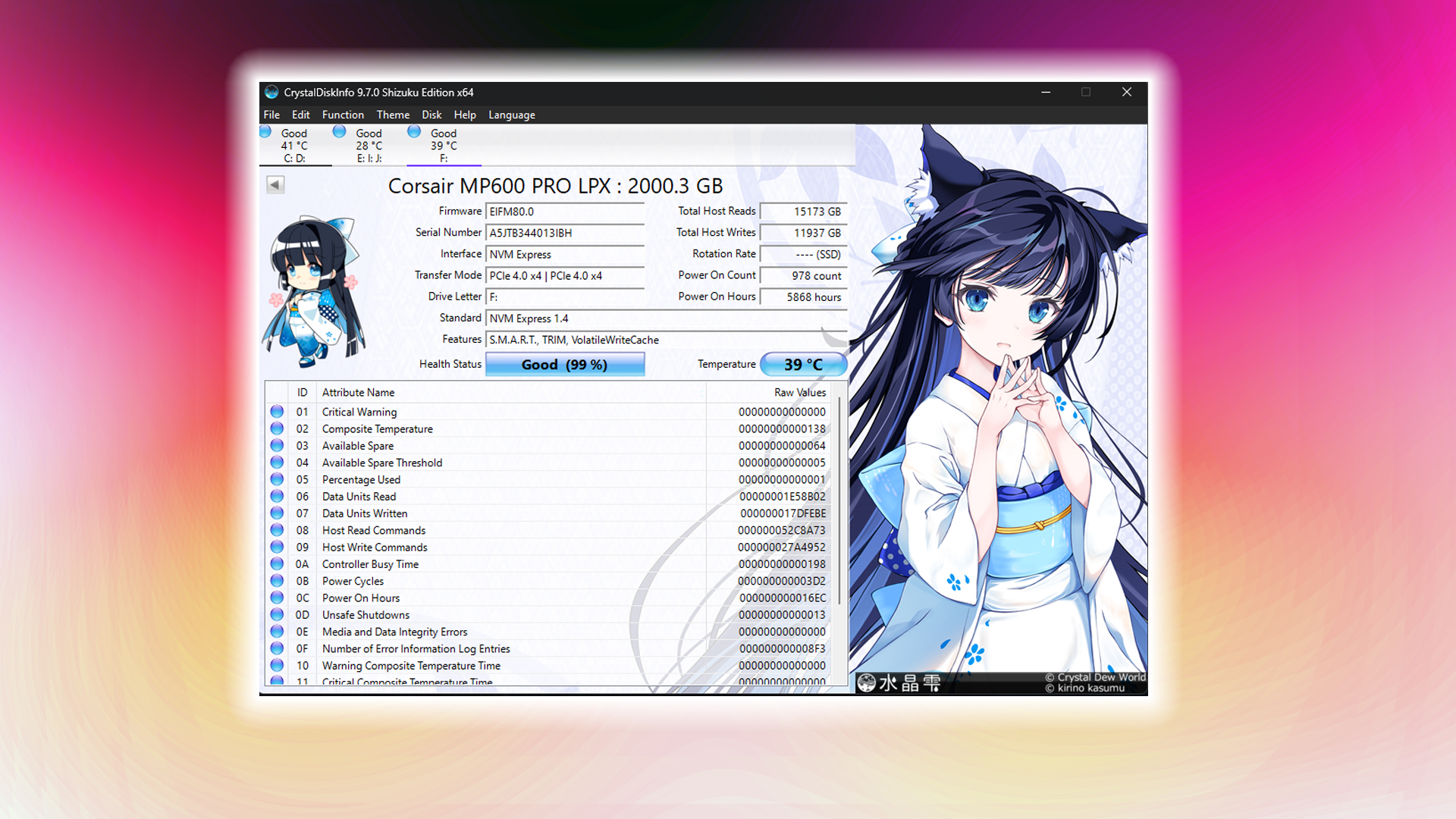 Recover Lost Data from SSD: A Beginner’s Guide