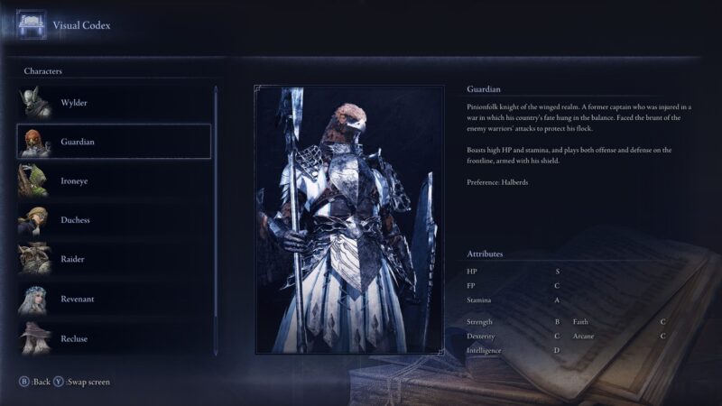 Guardian's attributes (Image via FromSoftware)