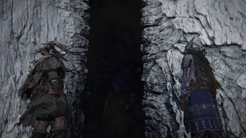 Elden Ring Nightreign: Best Team Composition for Tricephalos Expedition (Source: Bandai Namco Entertainment)