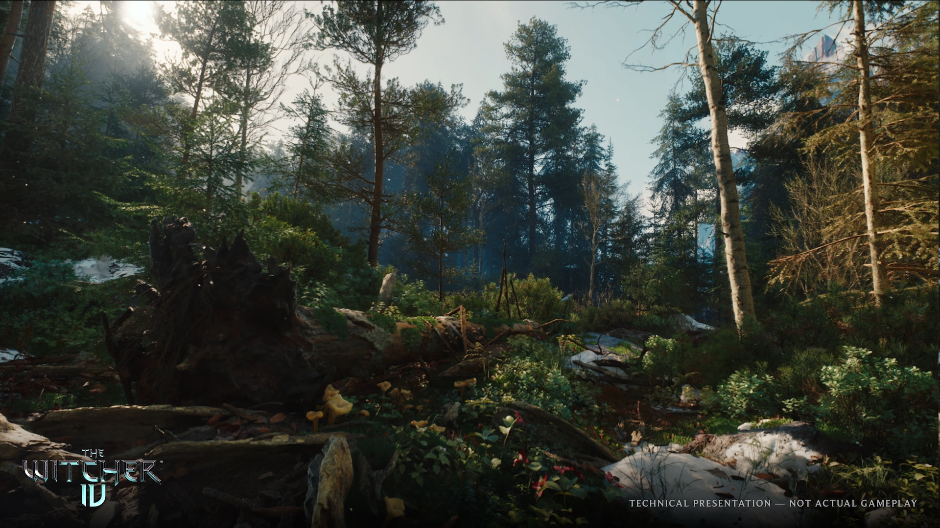Developers will use UE 5.6 to make The Witcher 4 (Image via CD Projekt Red)