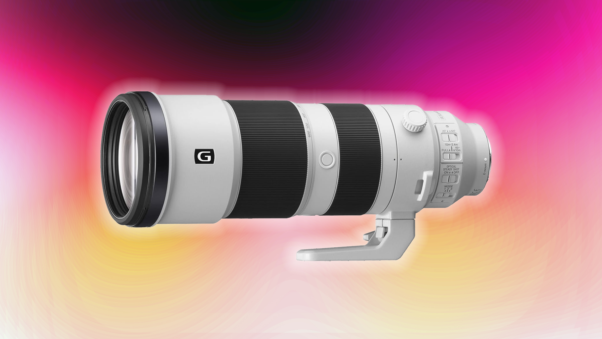 Sony FE Wild Life lens