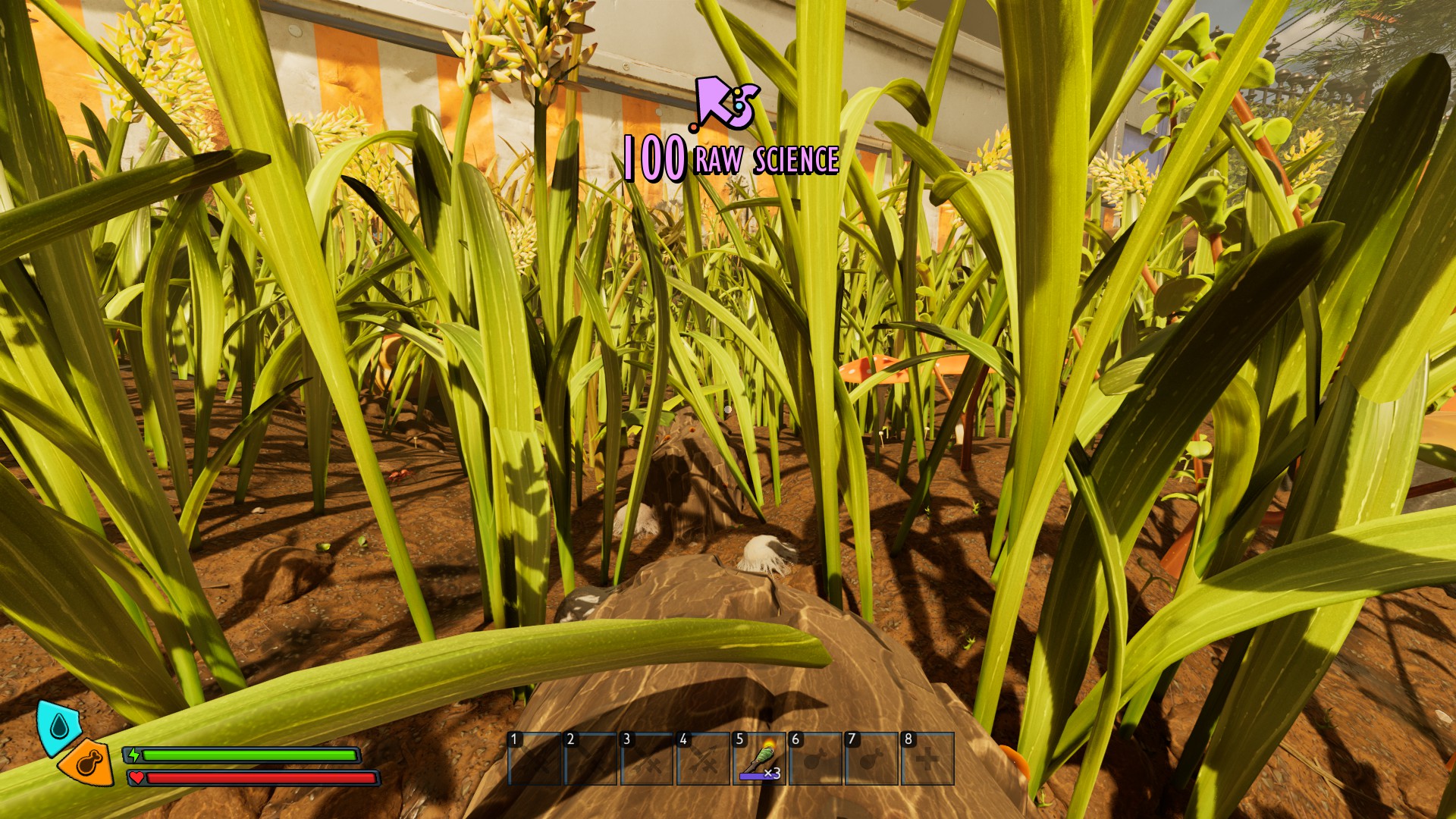 Best Settings for Grounded 2 - RX 9000 Series