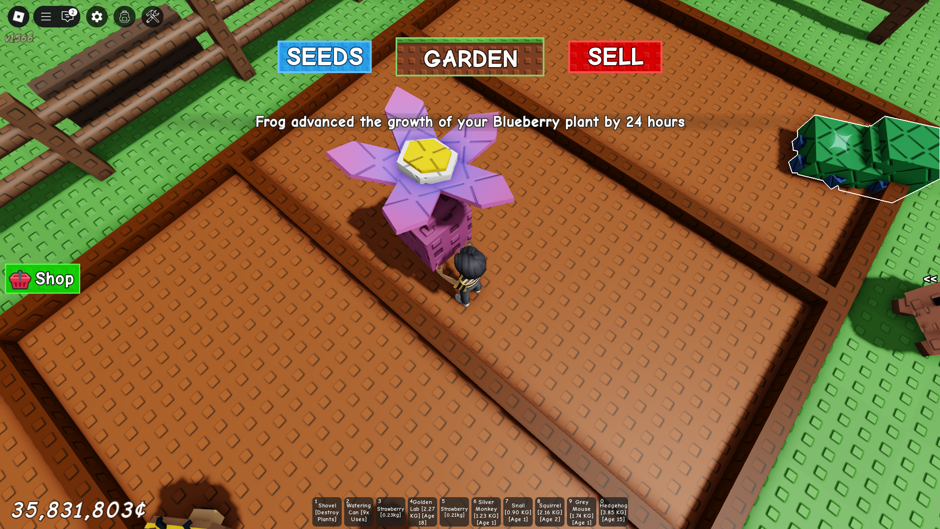 Taro Flower in-hand (Image via Roblox)