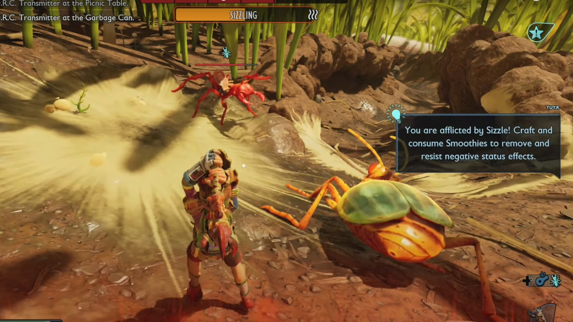 Fighting a Bombardier Beetle