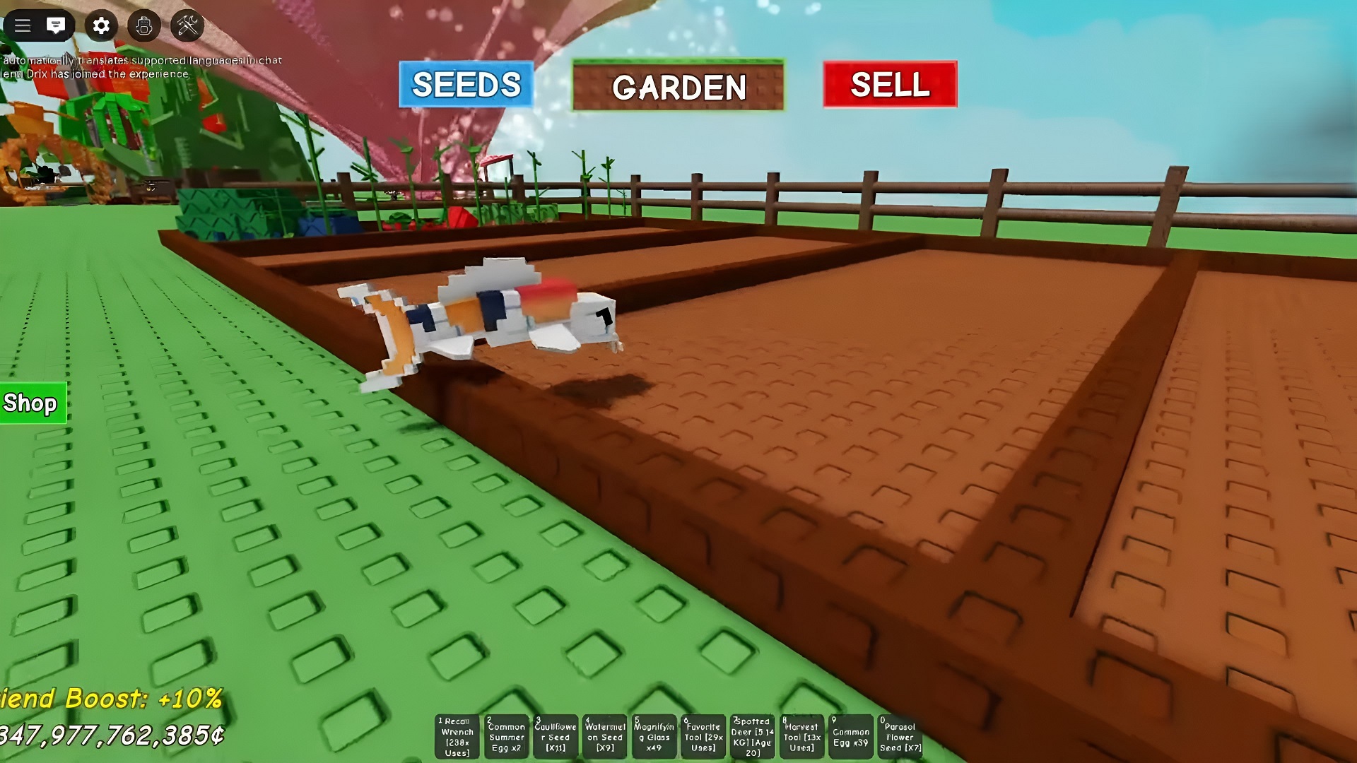 Koi in Grow a Garden (Image via Roblox)