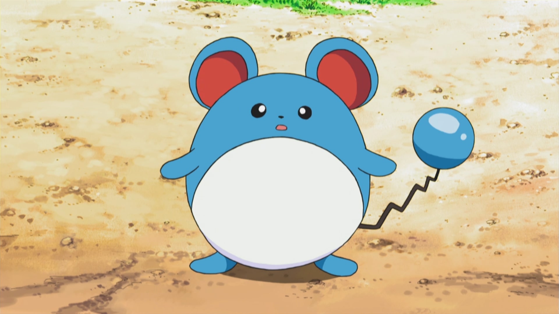 Marill in the anime (Image via TPC)