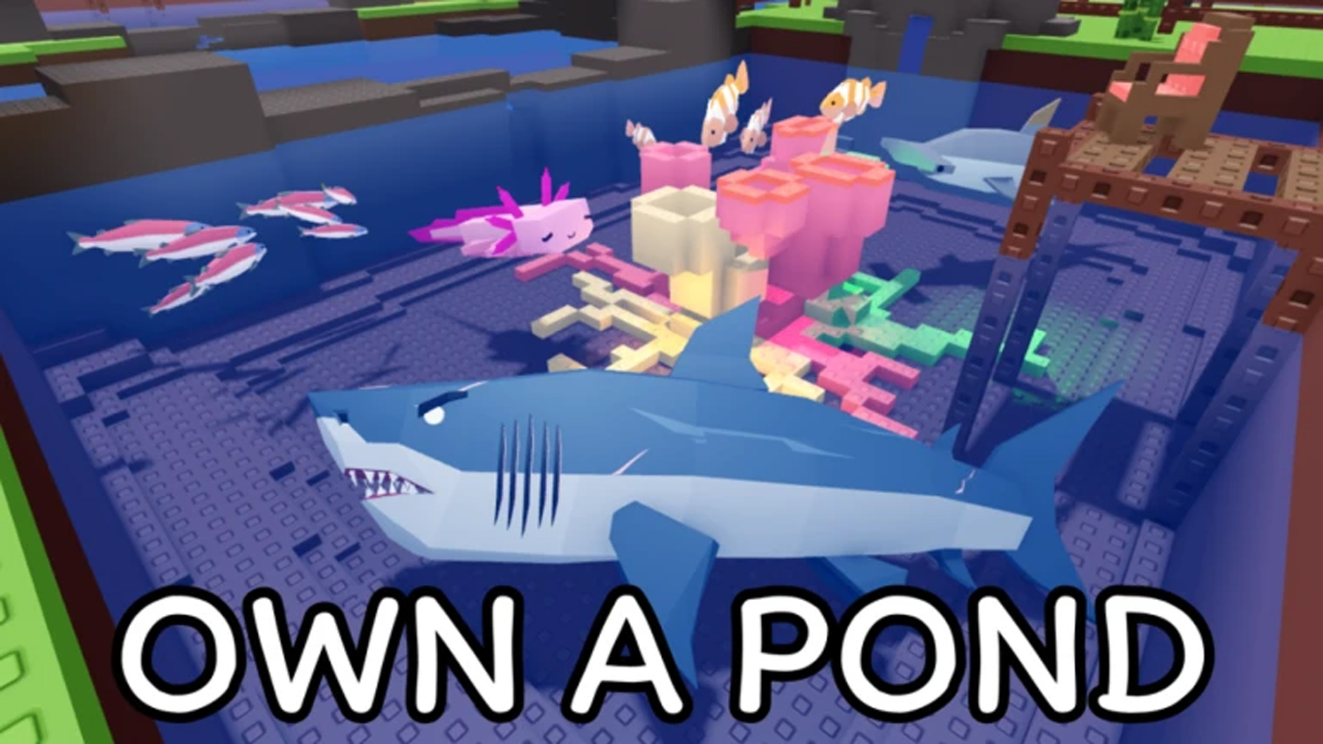 Own a Fish Pond (Image via Roblox Corporation)