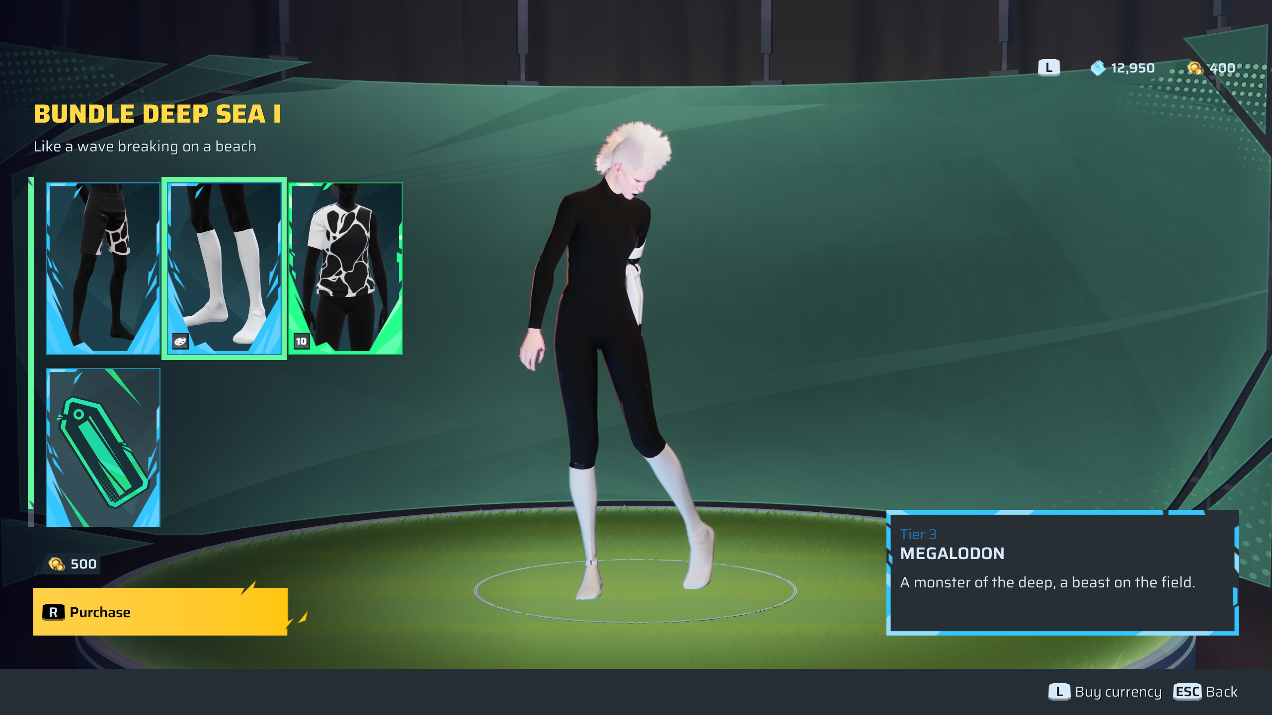 Socks item in bundle (Image via Sloclap | Deltia's Gaming)