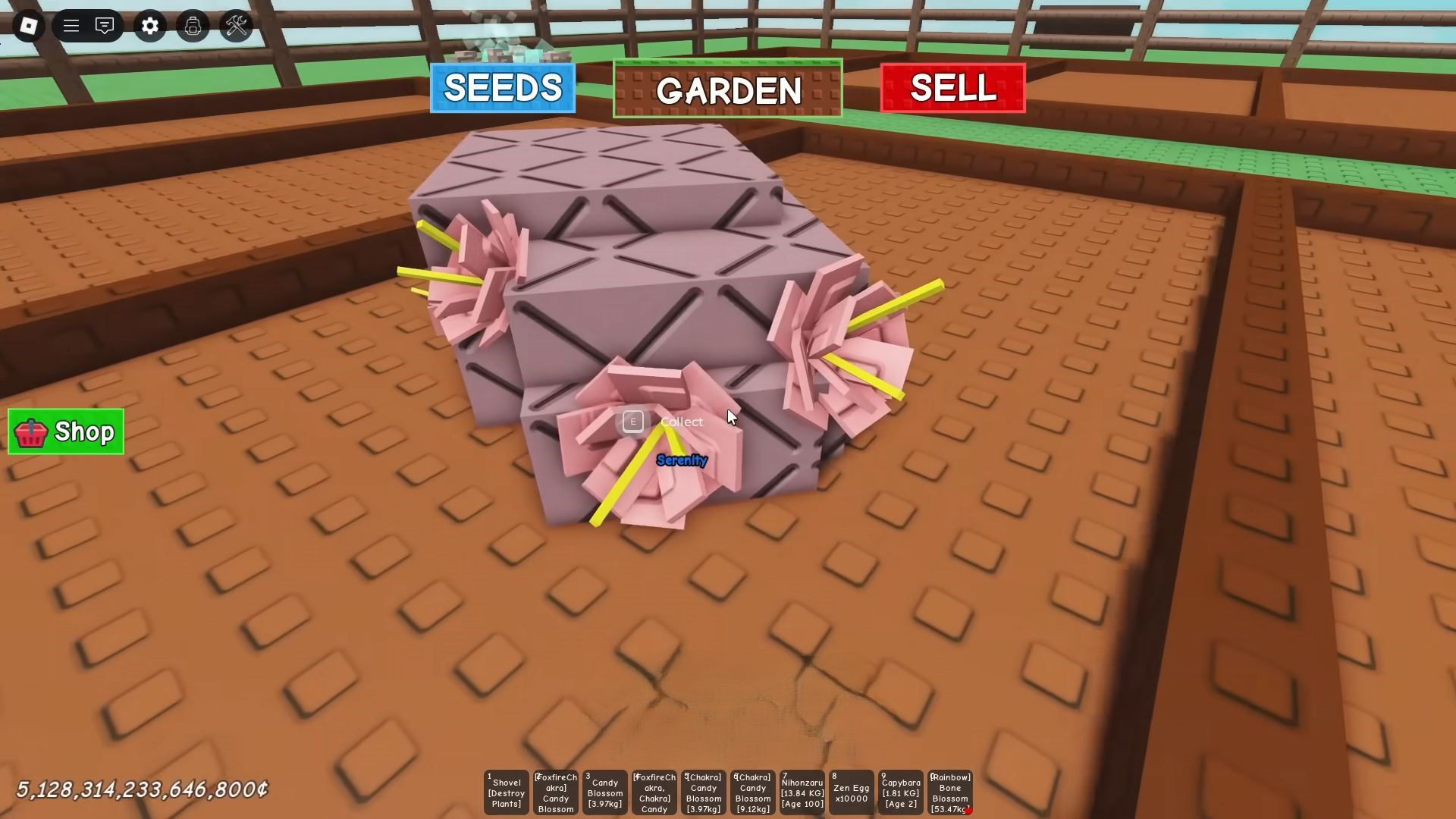 Serenity (Image via Roblox)