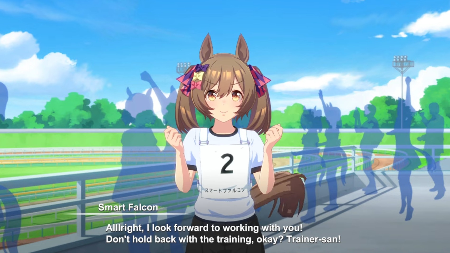 Smart Falcon