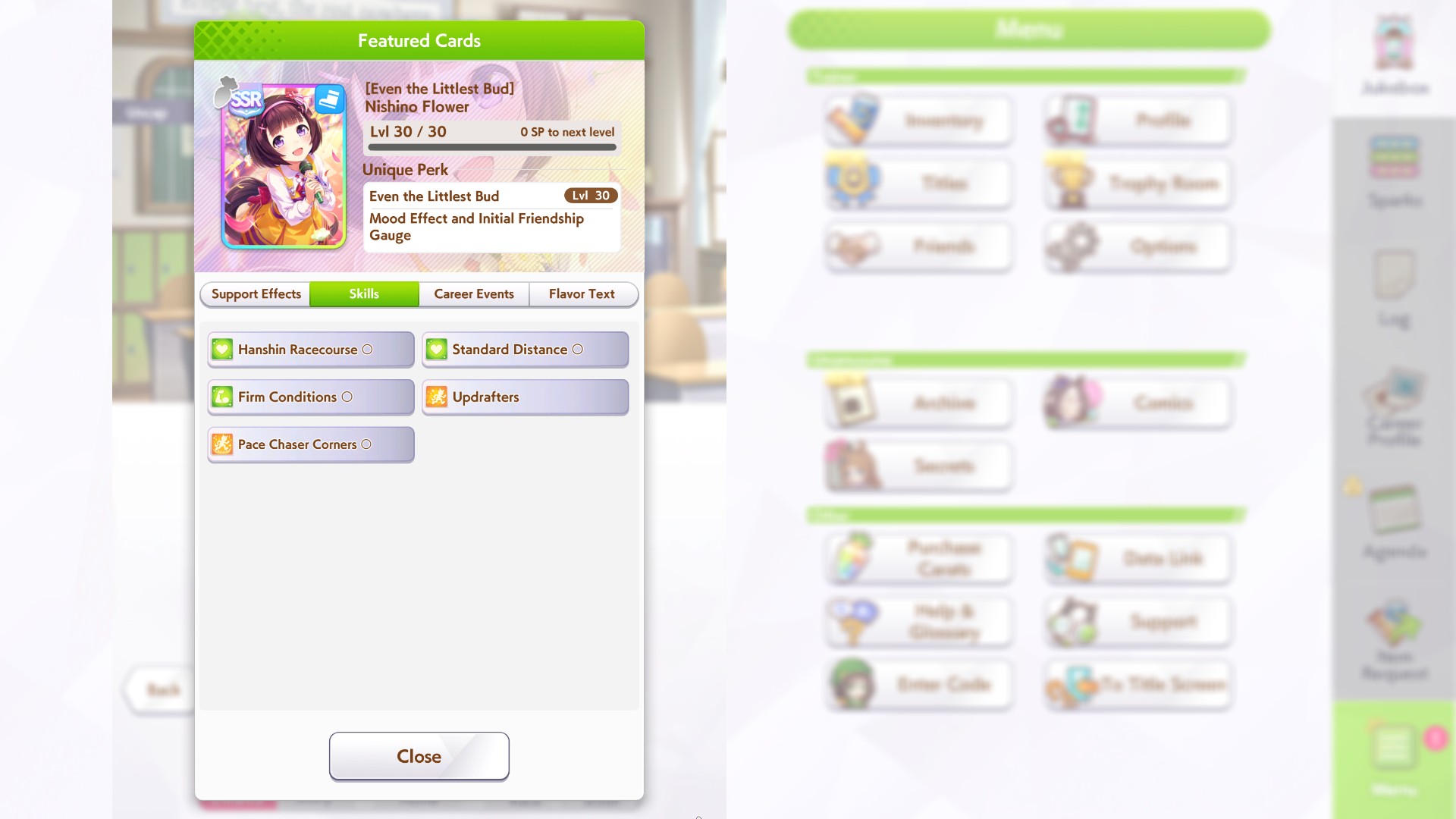 Versatile skills and Charming condition