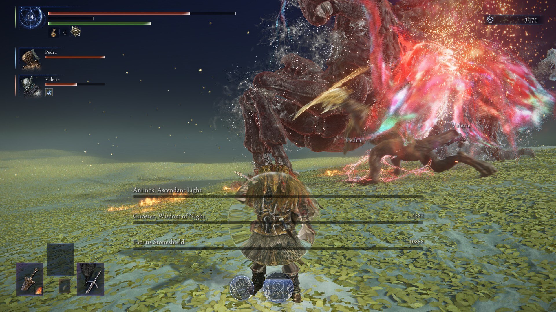 The best Raider build for Enhanced Sentient Pest (Image via FromSoftware)