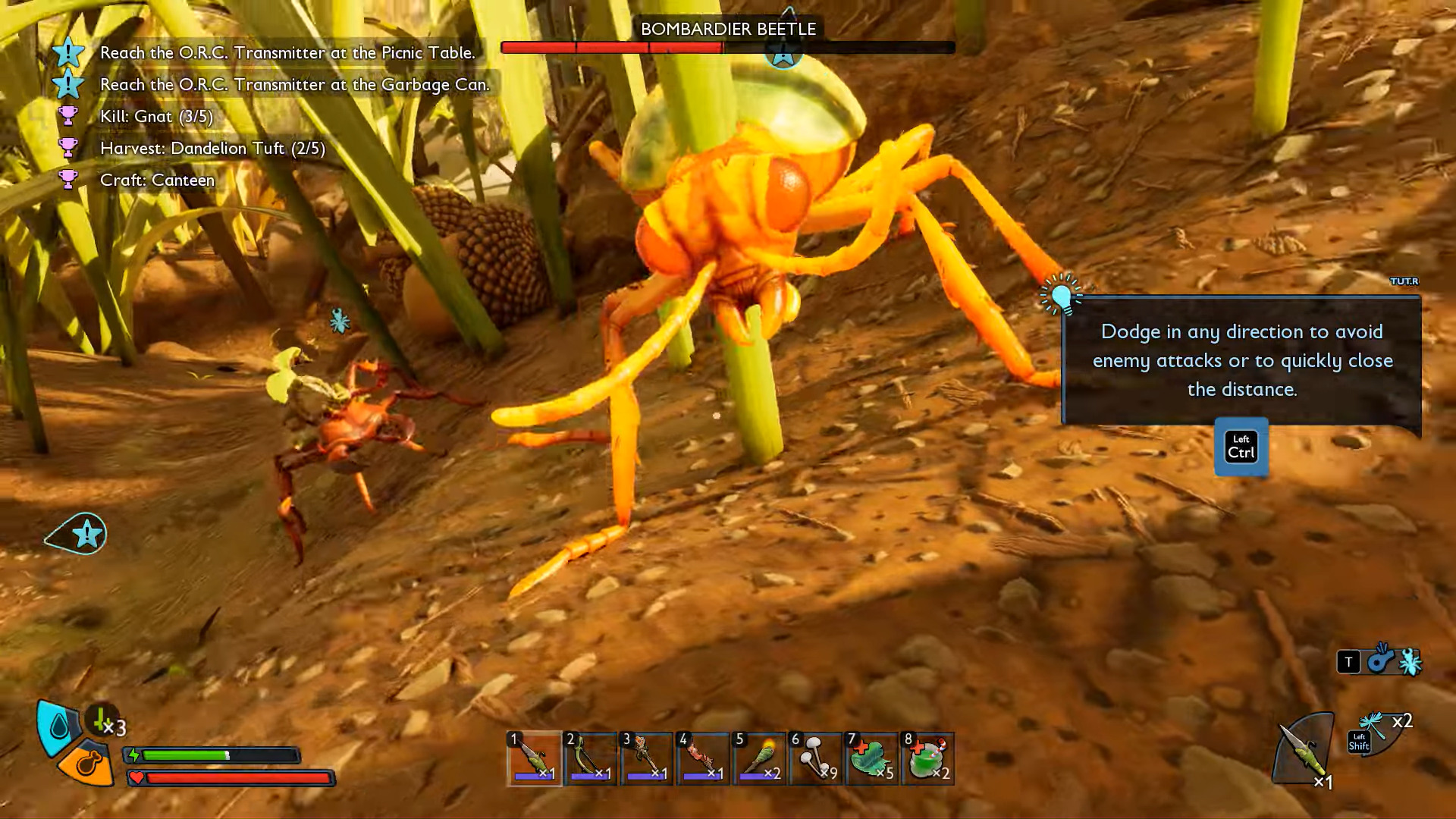 Defeat Bombardier Beetles to get the Bombuckler (Image via Xbox Game Studios | @WoWQuest/YouTube)