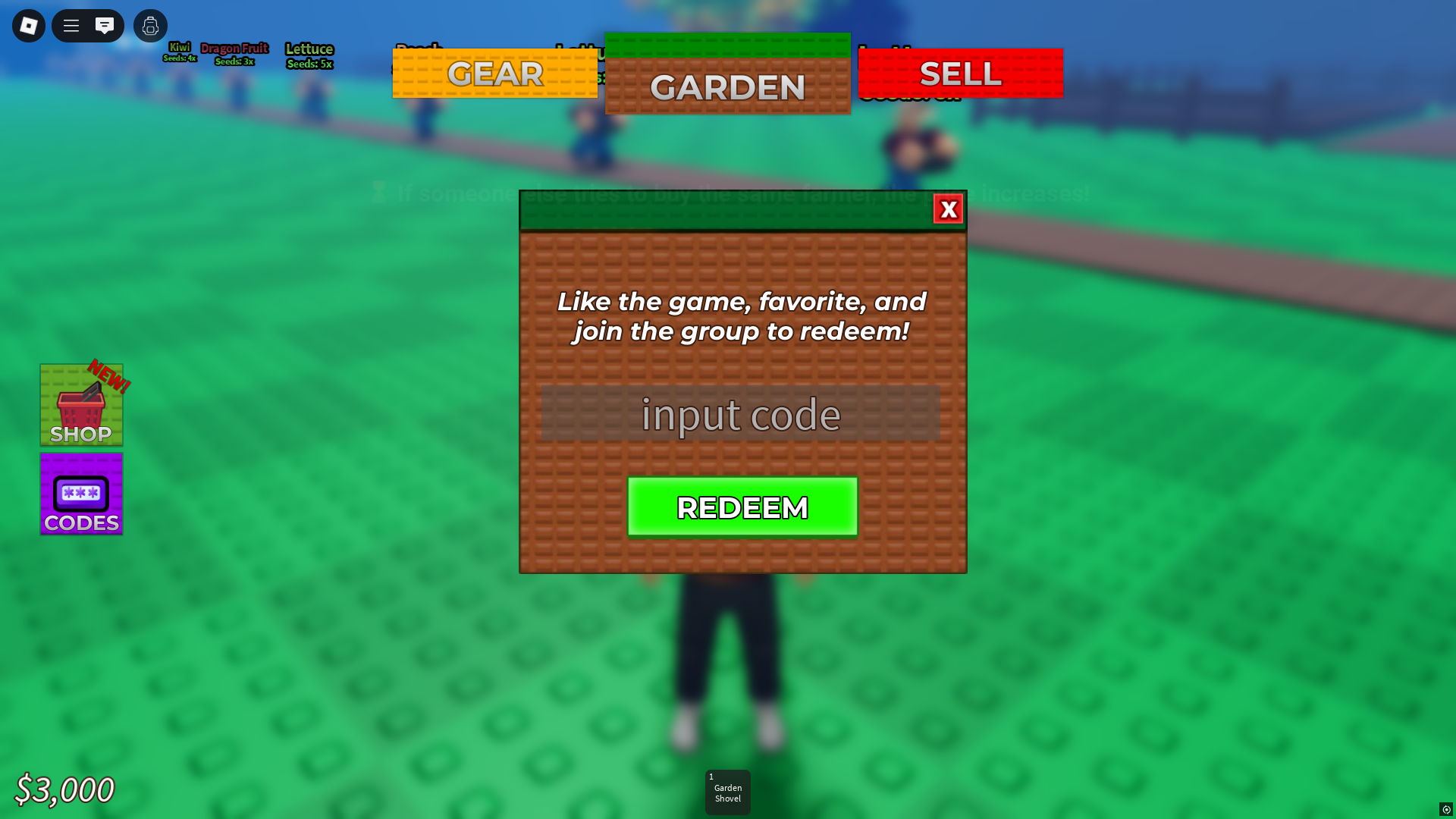 Redeeming codes (Image via Roblox)
