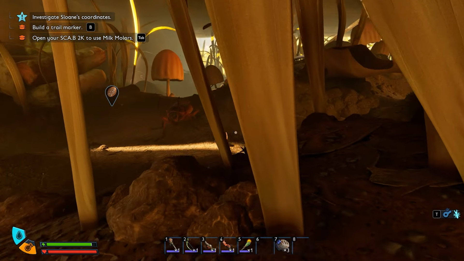 Hunt Cockroaches to unlock the Roach Armor Set
