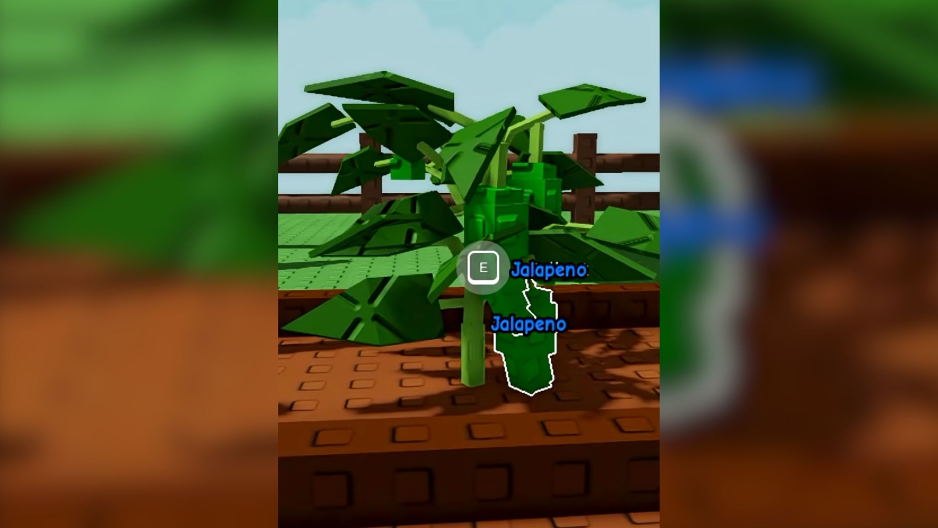 Jalapeno in Grow a Garden (Image via Roblox)