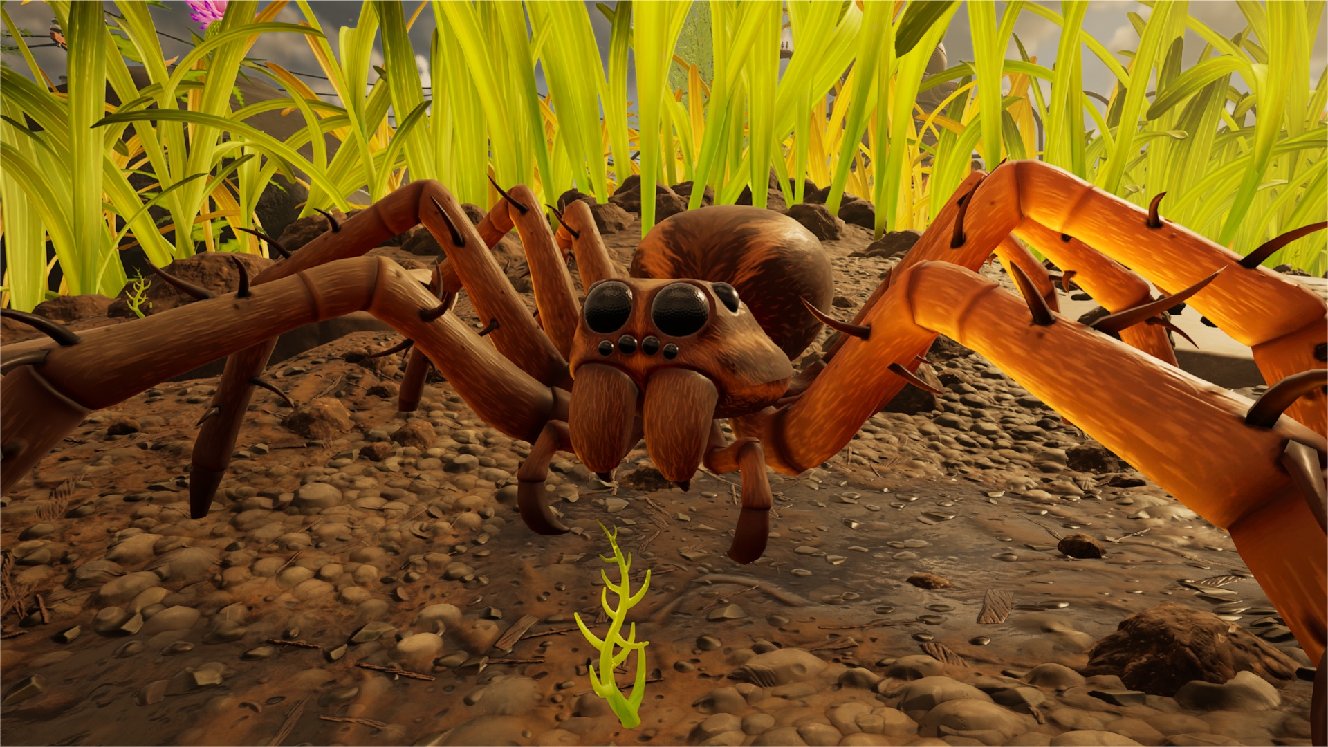 All Wolf Spider Locations in Grounded 2 (Image via Xbox Game Studios | Deltias Gaming)