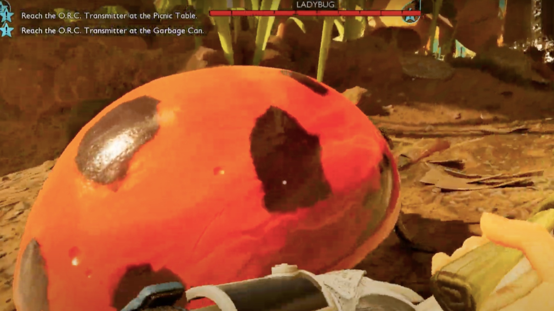 Defeat the Ladybug (Image via Xbox Game Studios | WoW Quests/YouTube)