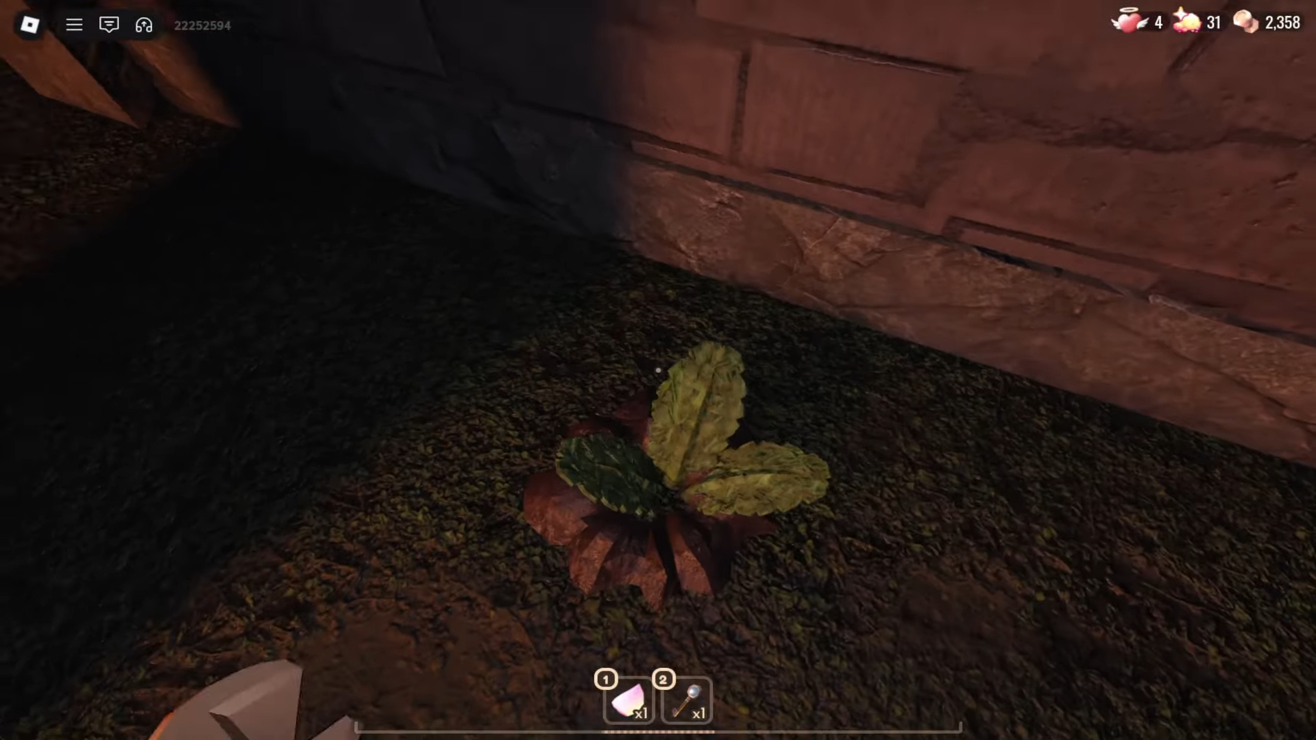 Planted Mandrake (Image via Roblox Corporation)
