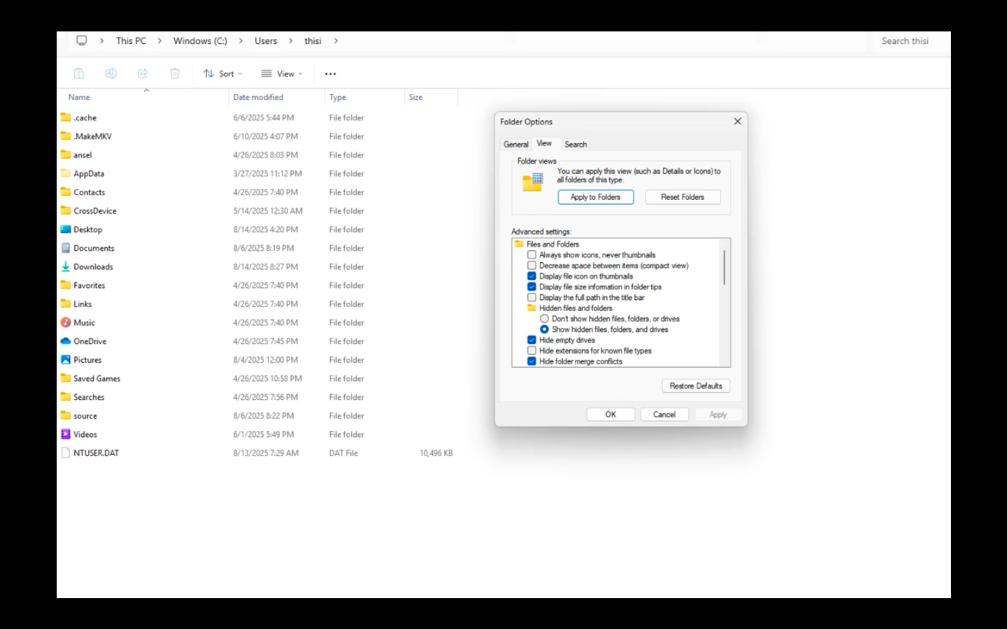 Enable Show Hideden Files (Image via Relic Entertainment | ACE 1918/YouTube)