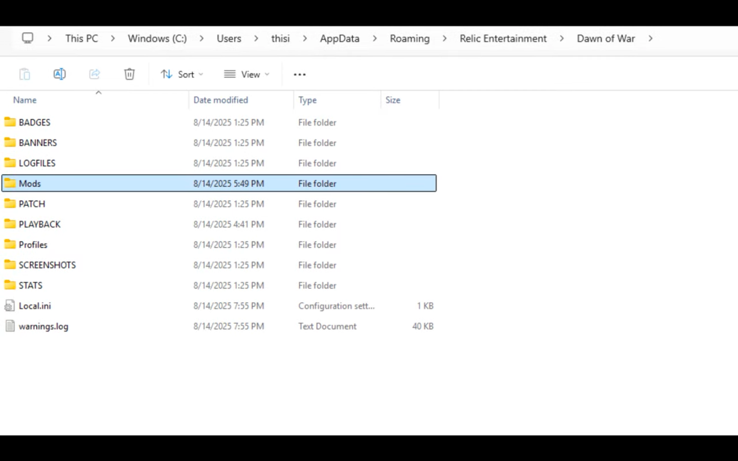 Create a seperate folder (Image via Relic Entertainment | ACE 1918/YouTube)