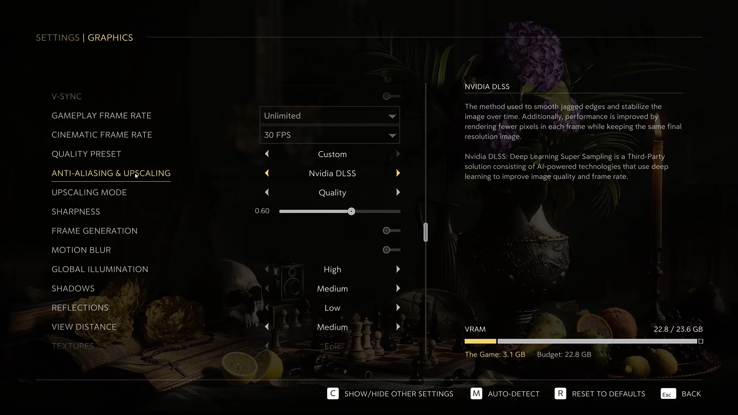 Picture of Mafia The Old Country graphics settings page