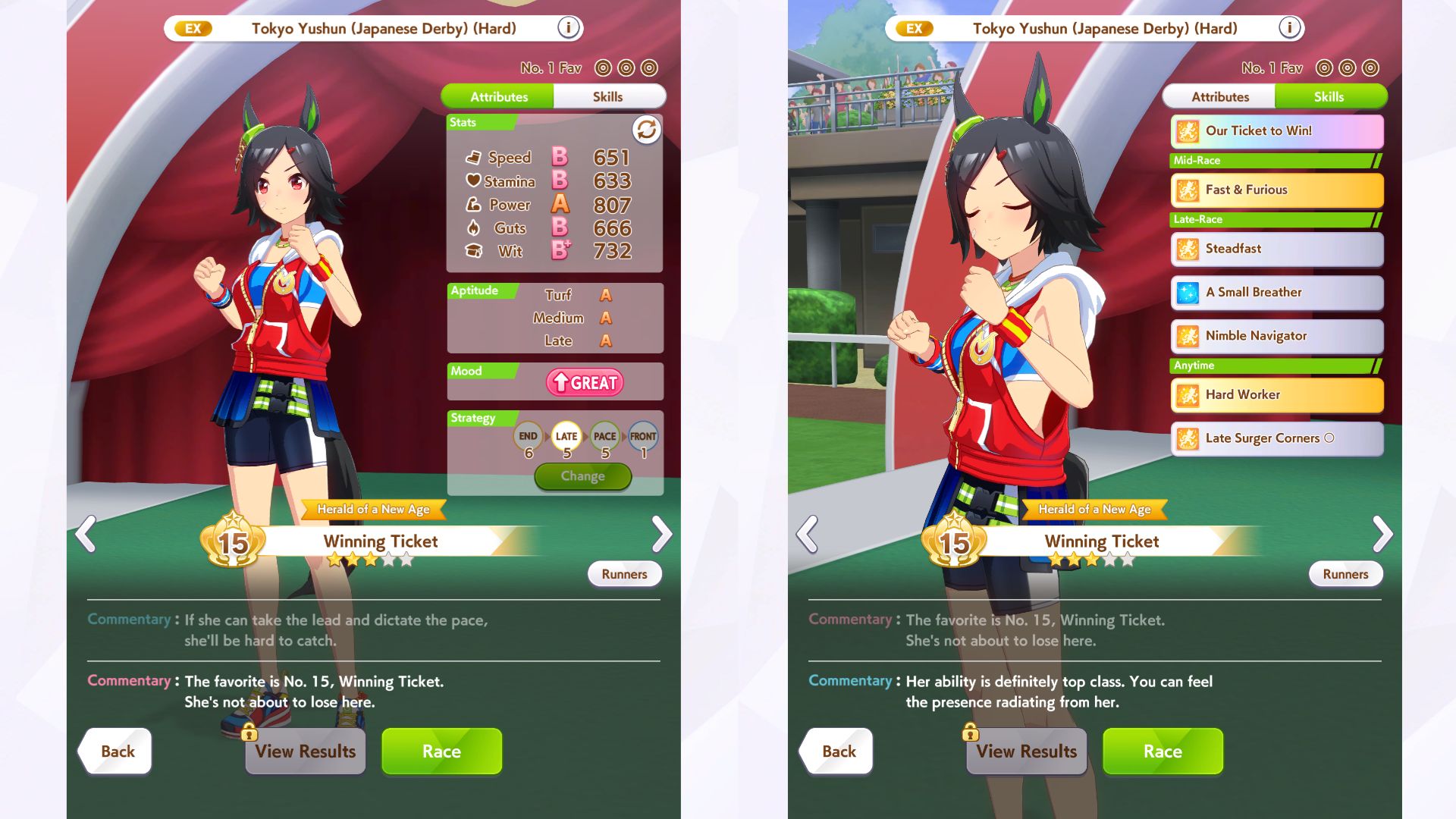 Winning Ticket stats and skills